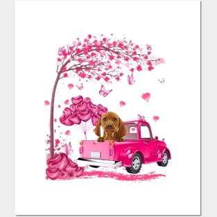 Valentine's Day Love Pickup Truck Vizsla Posters and Art